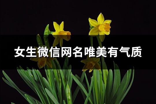 女生微信网名唯美有气质(共417个) 女生微信网名唯美有气质(共417个)