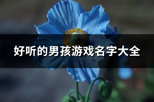 好听的男孩游戏名字大全(优选309个) 好听的男孩游戏名字大全(优选309个)