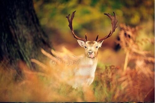 年最火快手女生网名大全(优选753个) 年最火快手女生网名大全(优选753个)