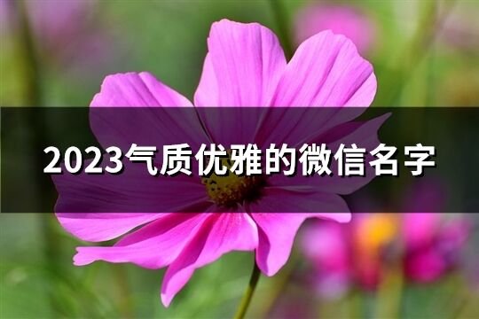 2023气质优雅的微信名字(精选3166个) 2023气质优雅的微信名字(精选3166个)