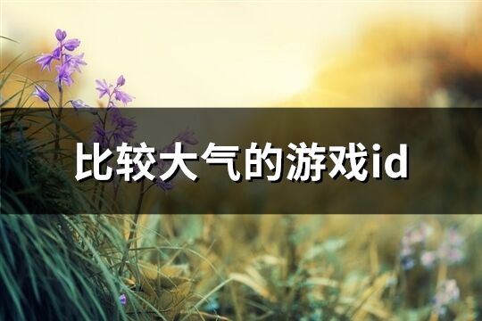 比较大气的游戏id(315个) 比较大气的游戏id(315个)