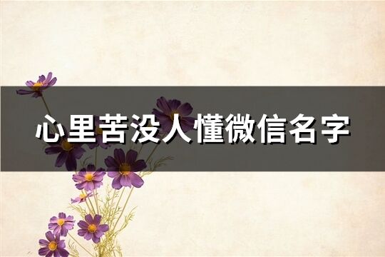 心里苦没人懂微信名字(共200个) 心里苦没人懂微信名字(共200个)