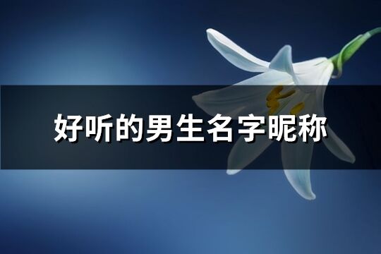 好听的男生名字昵称(优选589个) 好听的男生名字昵称(优选589个)