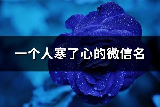一个人寒了心的微信名(优选125个) 一个人寒了心的微信名(优选125个)