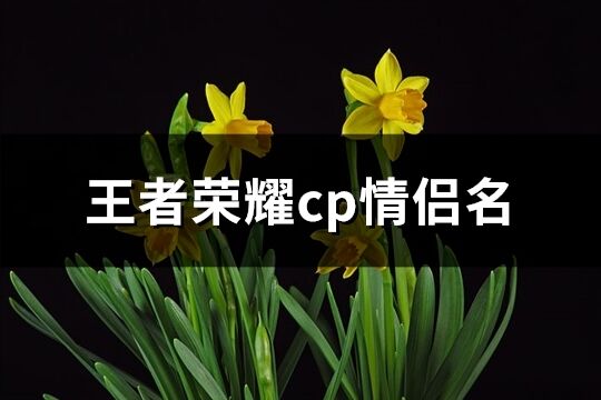 王者荣耀cp情侣名(优选351个) 王者荣耀cp情侣名(优选351个)
