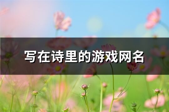 写在诗里的游戏网名(295个) 写在诗里的游戏网名(295个)