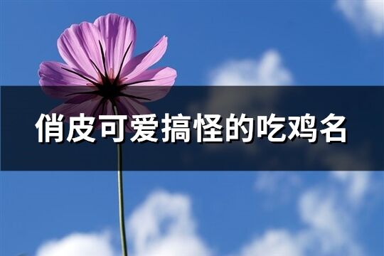 俏皮可爱搞怪的吃鸡名(优选242个) 俏皮可爱搞怪的吃鸡名(优选242个)
