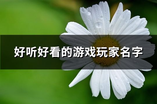 好听好看的游戏玩家名字(共167个) 好听好看的游戏玩家名字(共167个)