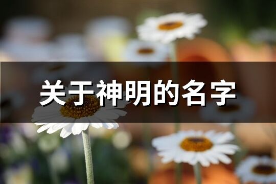 关于神明的名字(精选94个) 关于神明的名字(精选94个)