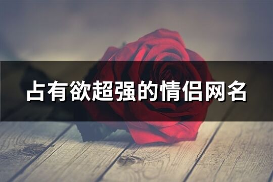 占有欲超强的情侣网名(91个) 占有欲超强的情侣网名(91个)