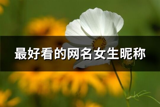 最好看的网名女生昵称(精选825个)