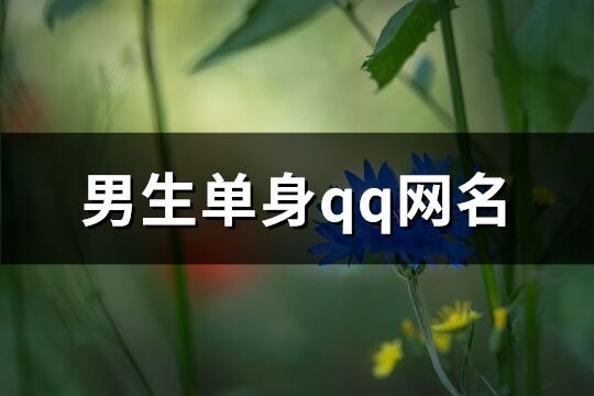 男生单身qq网名(61个) 男生单身qq网名(61个)