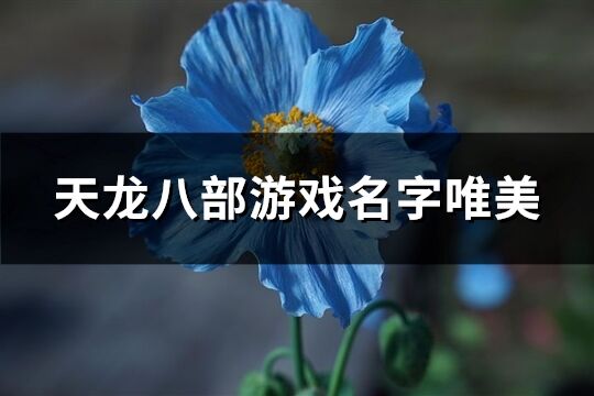 天龙八部游戏名字唯美(344个) 天龙八部游戏名字唯美(344个)