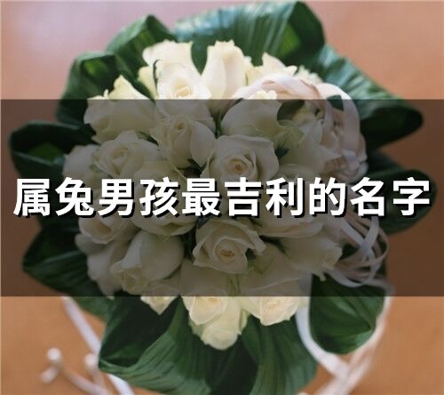 属兔男孩最吉利的名字(精选153个) 属兔男孩最吉利的名字(精选153个)