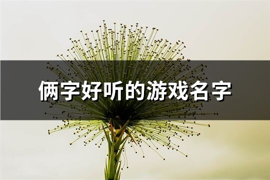俩字好听的游戏名字(共1435个) 俩字好听的游戏名字(共1435个)