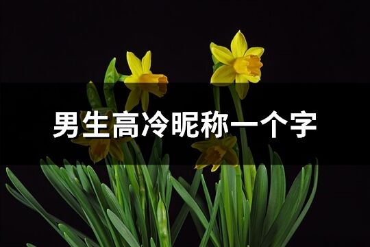 男生高冷昵称一个字(79个) 男生高冷昵称一个字(79个)