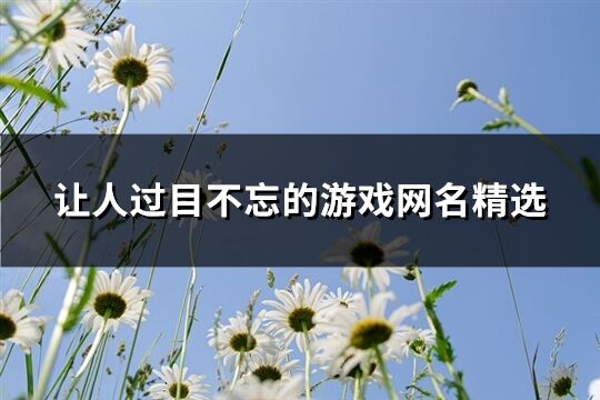 让人过目不忘的游戏网名精选(共547个) 让人过目不忘的游戏网名精选(共547个)