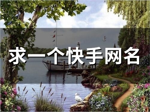 求一个快手网名(441个) 求一个快手网名(441个)