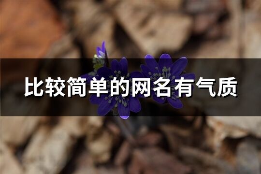 比较简单的网名有气质(共255个) 比较简单的网名有气质(共255个)