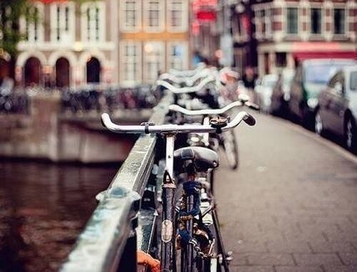 有气质内涵的微信网名(精选279个) 有气质内涵的微信网名(精选279个)