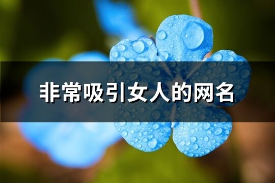 非常吸引女人的网名(171个) 非常吸引女人的网名(171个)