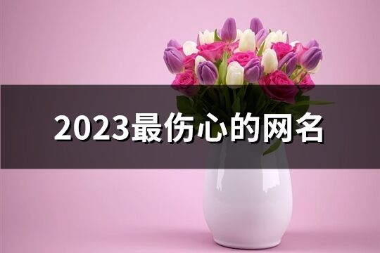 2023最伤心的网名(共360个) 2023最伤心的网名(共360个)