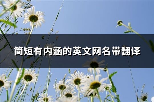 简短有内涵的英文网名带翻译(精选110个) 简短有内涵的英文网名带翻译(精选110个)