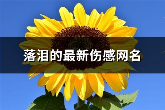 落泪的最新伤感网名(优选506个) 落泪的最新伤感网名(优选506个)