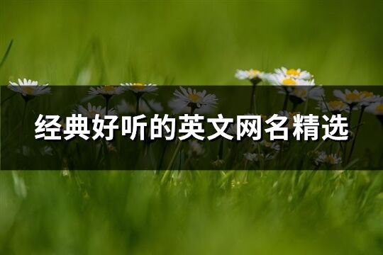 经典好听的英文网名精选(优选407个) 经典好听的英文网名精选(优选407个)