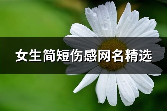 女生简短伤感网名精选(171个) 女生简短伤感网名精选(171个)