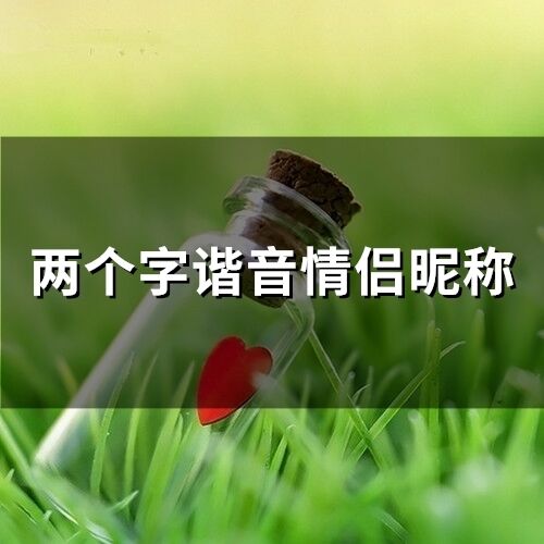 两个字谐音情侣昵称(精选71个) 两个字谐音情侣昵称(精选71个)