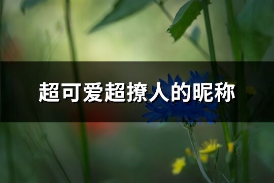 超可爱超撩人的昵称(精选661个) 超可爱超撩人的昵称(精选661个)