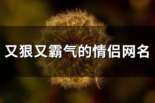 又狠又霸气的情侣网名(156个) 又狠又霸气的情侣网名(156个)