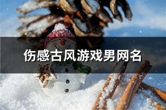 伤感古风游戏男网名(精选115个) 伤感古风游戏男网名(精选115个)