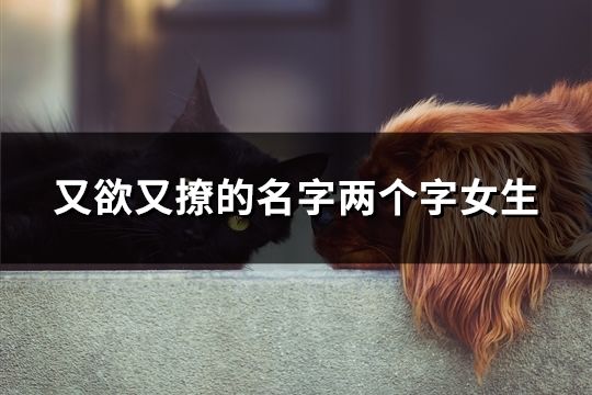 又欲又撩的名字两个字女生(共95个) 又欲又撩的名字两个字女生(共95个)