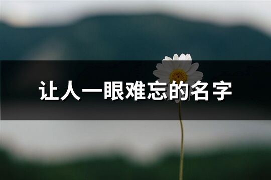 让人一眼难忘的名字(优选469个) 让人一眼难忘的名字(优选469个)