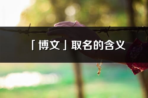 「博文」取名的含义