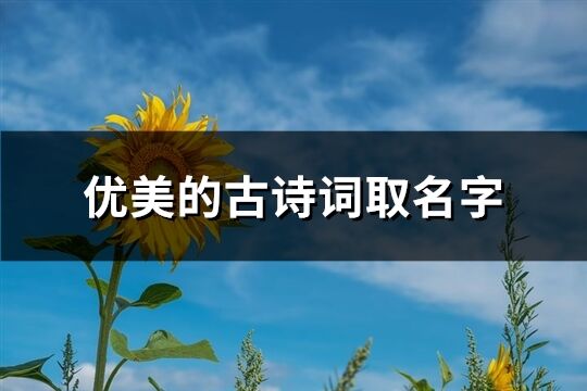 优美的古诗词取名字(共119个) 优美的古诗词取名字(共119个)