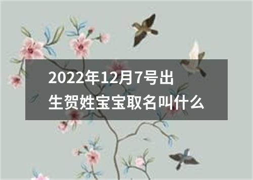 2022年12月7号出生贺姓宝宝取名叫什么