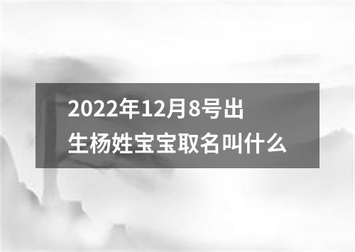 2022年12月8号出生杨姓宝宝取名叫什么
