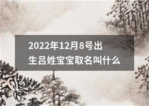 2022年12月8号出生吕姓宝宝取名叫什么