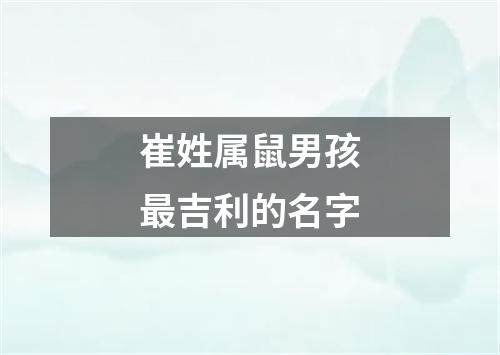 崔姓属鼠男孩最吉利的名字