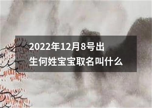 2022年12月8号出生何姓宝宝取名叫什么