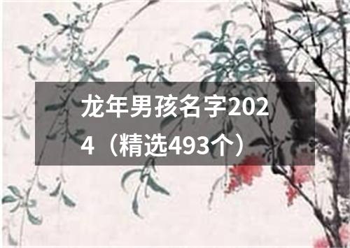 龙年男孩名字2024（精选493个）