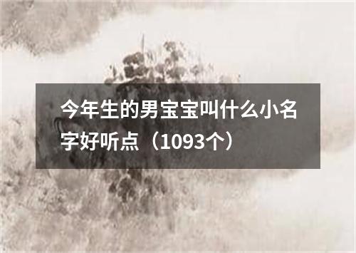 今年生的男宝宝叫什么小名字好听点（1093个）
