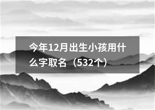 今年12月出生小孩用什么字取名(532个)