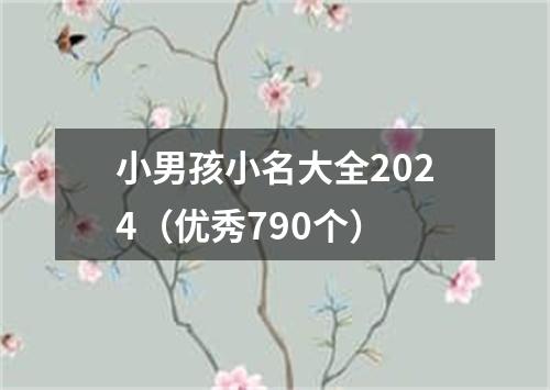 小男孩小名大全2024（优秀790个）