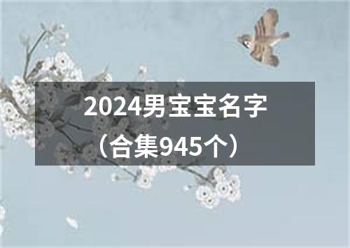 2024男宝宝名字（合集945个）