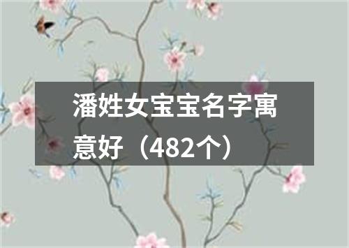 潘姓女宝宝名字寓意好（482个）