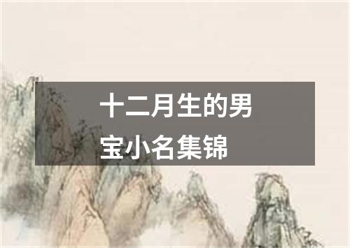十二月生的男宝小名集锦